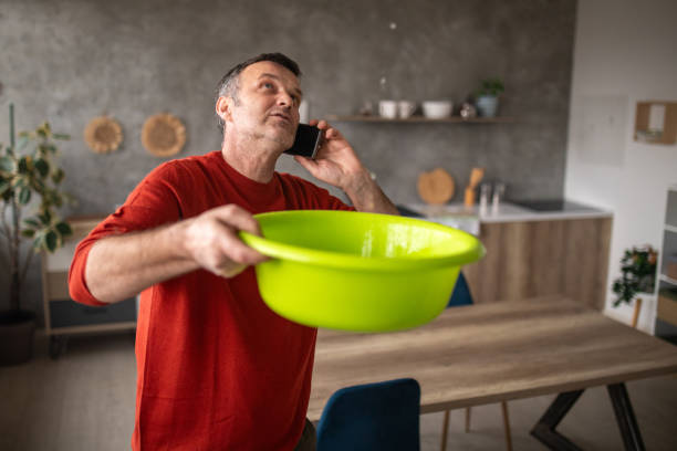 Best Roof Maintenance and Cleaning  in Hercules, CA