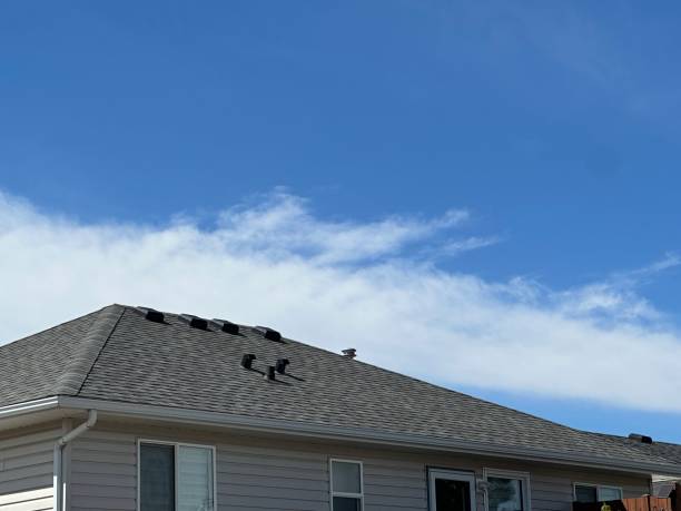 Best Asphalt Shingle Roofing  in Hercules, CA